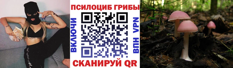 Купить где  Среднеуральск  Галлюциногенные грибы GOLDEN TEACHER 